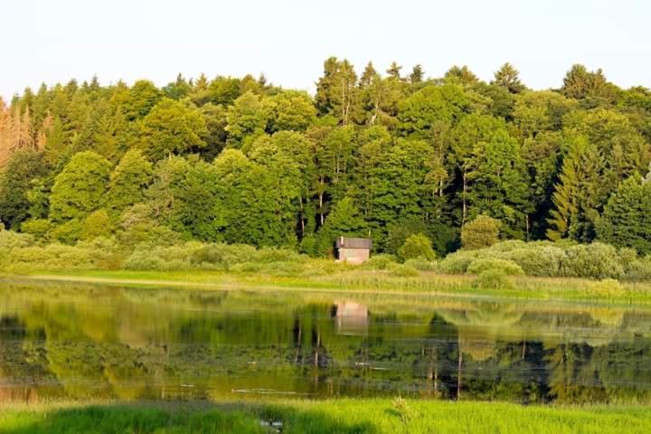 Ferienhaus Mauer Krombachtalsperre, Exclusive Nebenkosten Strom Driedorf Extérieur photo
